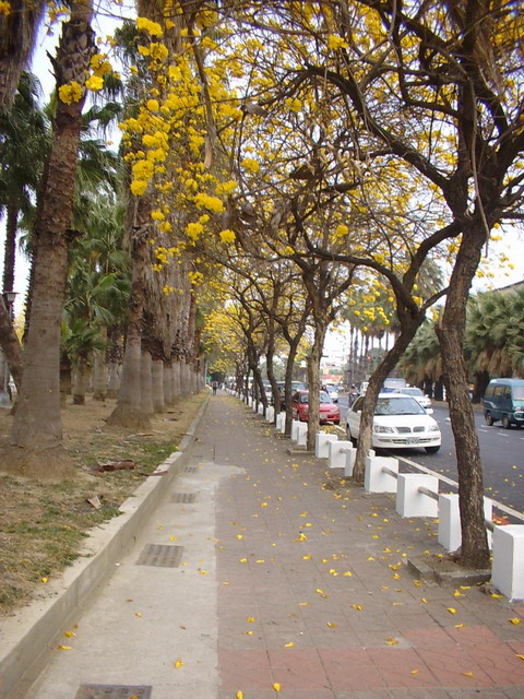 photoImages