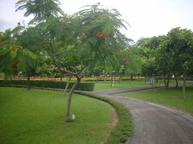 photoImages