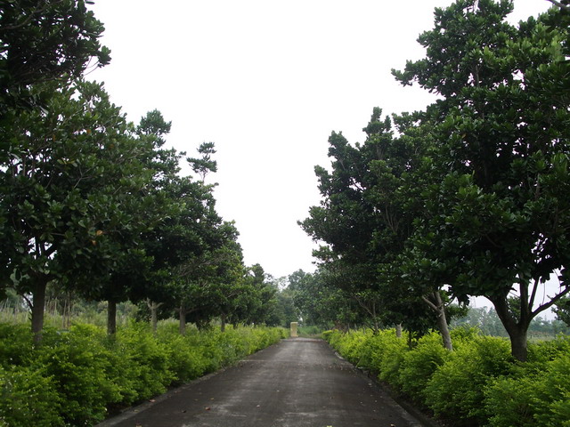 photoImages