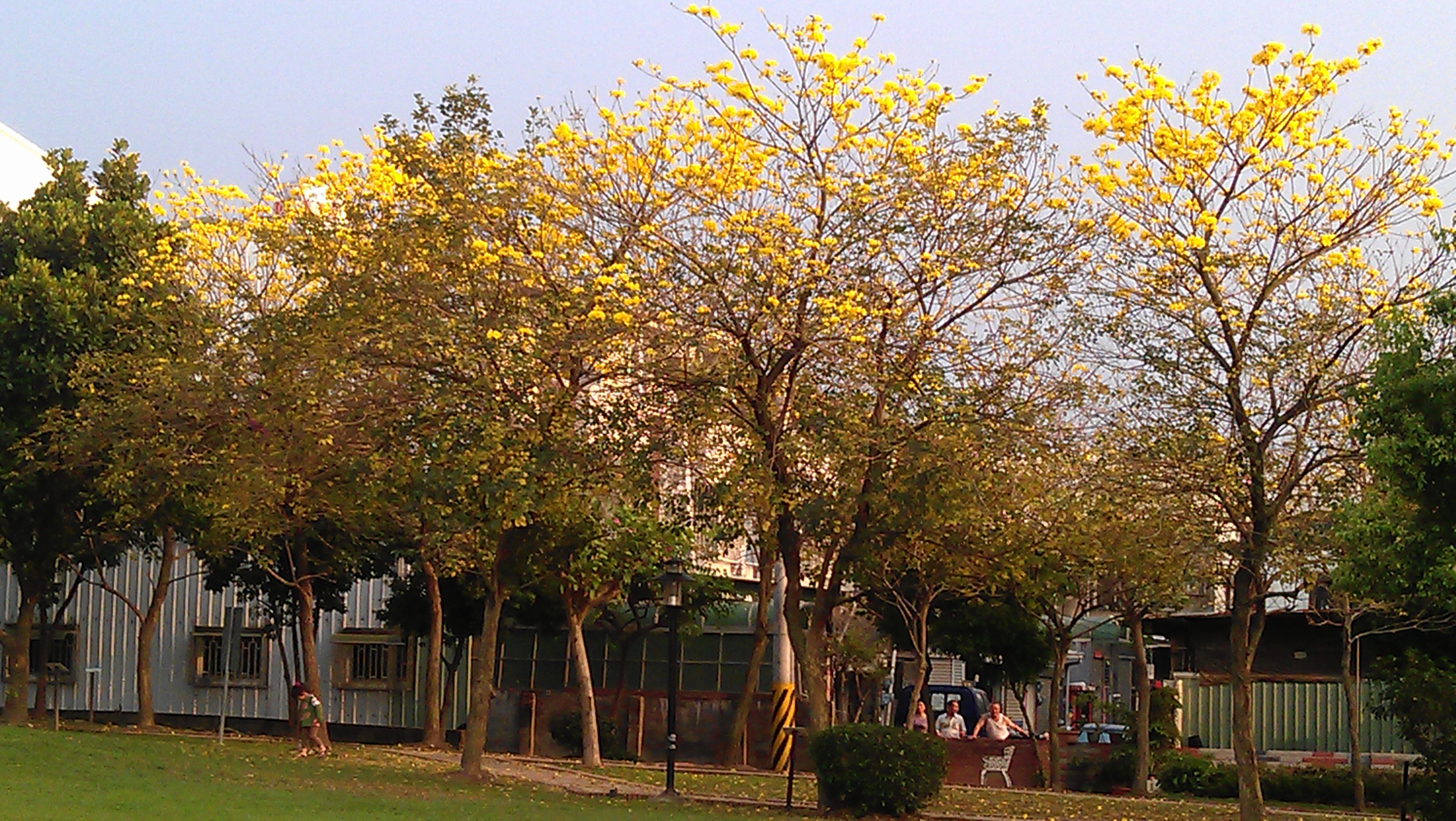 photoImages