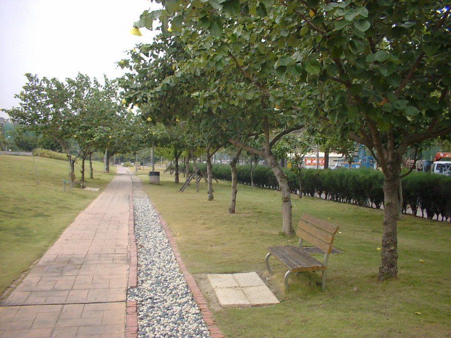 photoImages