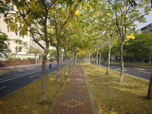 photoImages