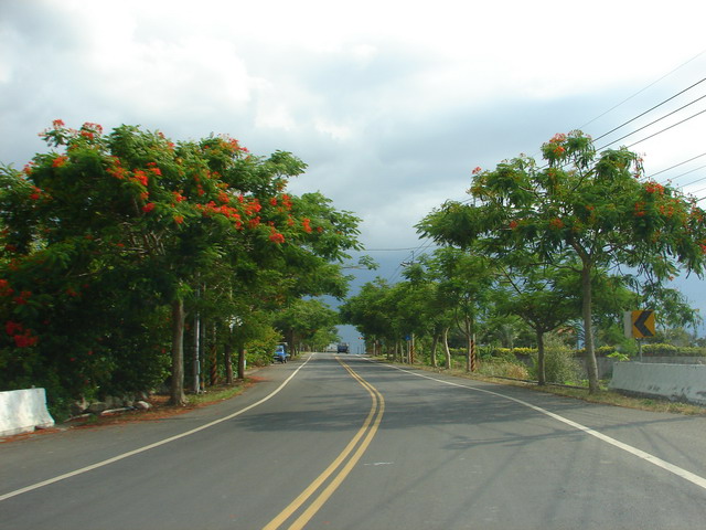 photoImages