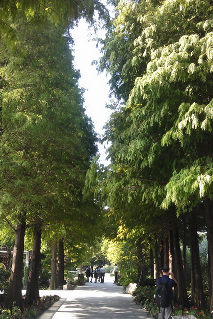 photoImages