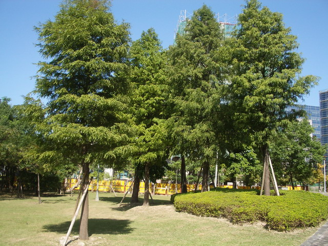 photoImages